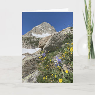 Columbine Beneath Paiute Peak Card Kaart