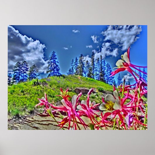 Columbine bloem schilderachtig canvas print (Voorkant)