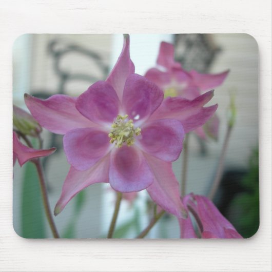 Columbine Flower mousepad Muismat (Voorkant)