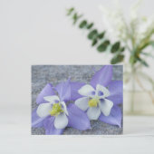 Columbine Flowers Briefkaart (Staand voorkant)