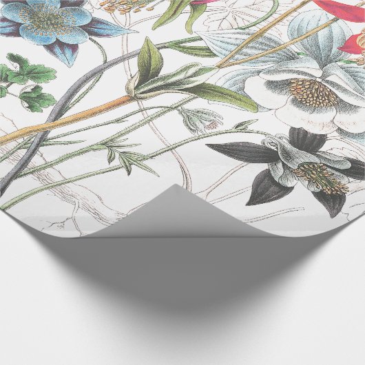 Columbine Flowers Wrapping Paper Cadeaupapier (Hoek)