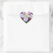 Columbine Hart Sticker (Tas)