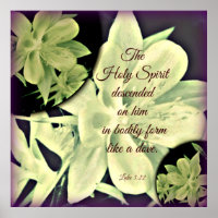 Columbine Heilige Geest Poster