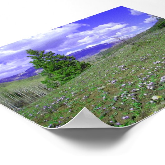 Columbine Hill Poster (Hoek)