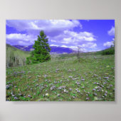 Columbine Hill Poster (Voorkant)