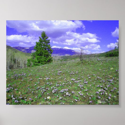 Columbine Hill Poster (Voorkant)