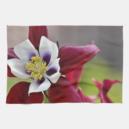 Columbine.JPG Theedoek (Horizontaal)