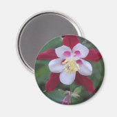 Columbine Magneet (Voorkant / Achterkant)