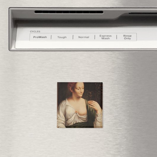 Columbine Magneet (Insitu (Vaatwasser))