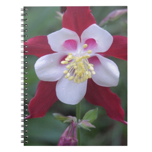 Columbine Notitieboek (Voorkant)