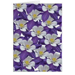 Columbine Paars en White Flower Kaart