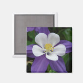 Columbine Paars en White Flower Magnet (Voorkant / Achterkant)