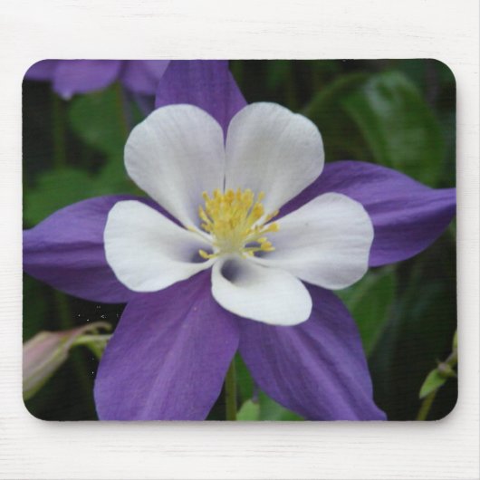 Columbine Paars en White Flower Mousepad Muismat (Voorkant)