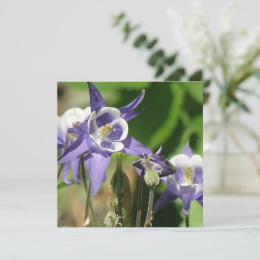 Columbine Planten Uitnodiging (Staand voorkant)