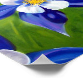 Columbine Poster (Hoek)