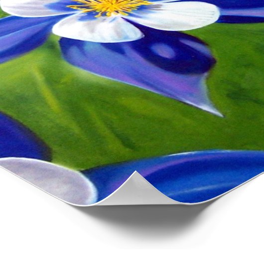 Columbine Poster (Hoek)