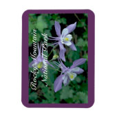 Columbine Rocky Mountain National Park Magneet (Verticaal)