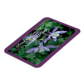 Columbine Rocky Mountain National Park Magneet (Linkerzijde)