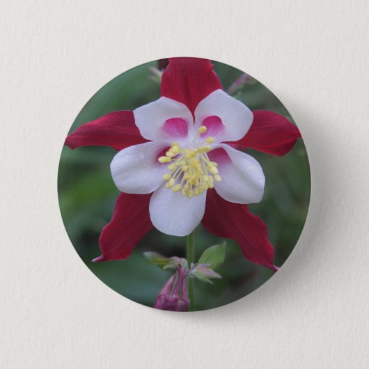 Columbine Ronde Button 5,7 Cm (Voorkant)