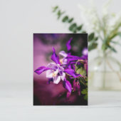 ColumbineBriefkaart Briefkaart (Staand voorkant)