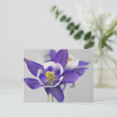 ColumbineBriefkaart Briefkaart (Staand voorkant)