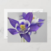ColumbineBriefkaart Briefkaart (Voorkant / Achterkant)