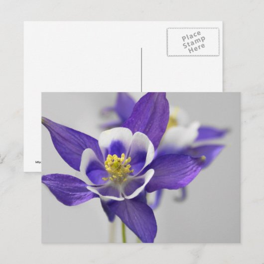 ColumbineBriefkaart Briefkaart (Voorkant / Achterkant)