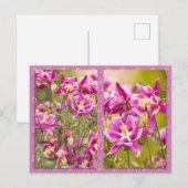 Columbines Diptych Briefkaart (Voorkant / Achterkant)