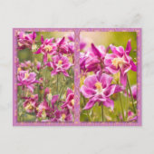 Columbines Diptych Briefkaart (Voorkant)