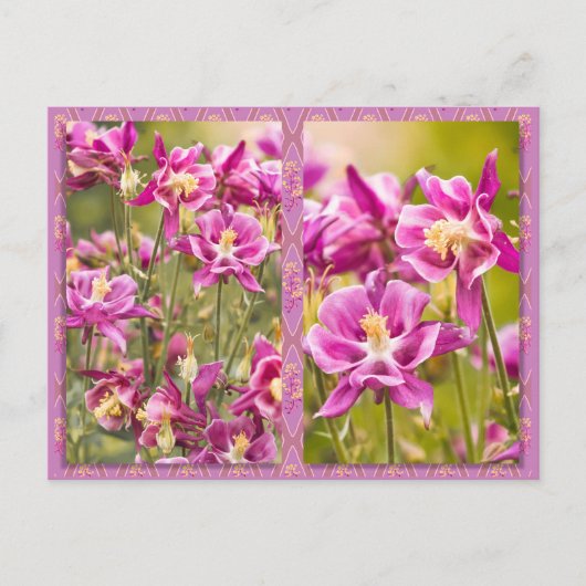 Columbines Diptych Briefkaart (Voorkant)