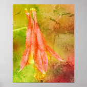 Columbinestempel Abstract Poster (Voorkant)