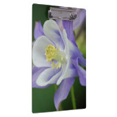  Columbinestop Klembord (Rechts)