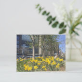 Columbus Circle Daffodils NYC Springtime Briefkaar Briefkaart (Staand voorkant)