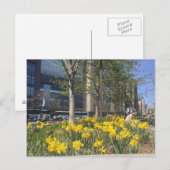 Columbus Circle Daffodils NYC Springtime Briefkaar Briefkaart (Voorkant / Achterkant)