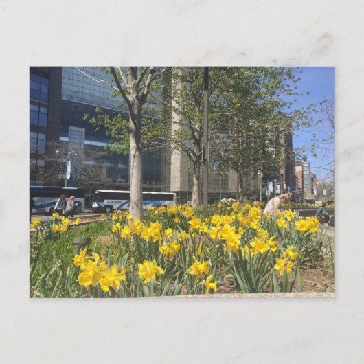 Columbus Circle Daffodils NYC Springtime Briefkaar Briefkaart (Voorkant)