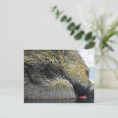 Columnar basalt formation, Akun Island, Alaska Briefkaart (Staand voorkant)