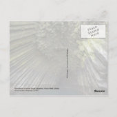 Columnar basalt formation, Akun Island, Alaska Briefkaart (Achterkant)