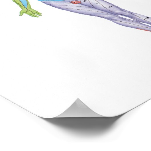 Coluna vertebral, Quiropraxia Poster (Hoek)