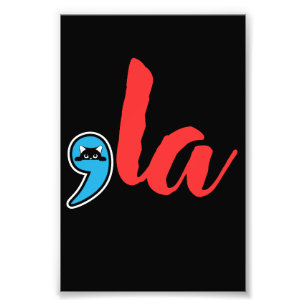 Coma La 2024 Cat Lady Foto Afdruk