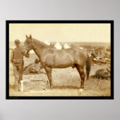 Comanche, landpaard SD 1887 Poster (Voorkant)