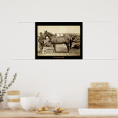 Comanche Poster (Keuken)