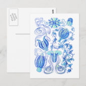 Comb Jellies Briefkaart (Voorkant / Achterkant)