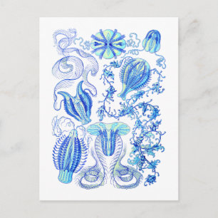 Comb Jellies Briefkaart