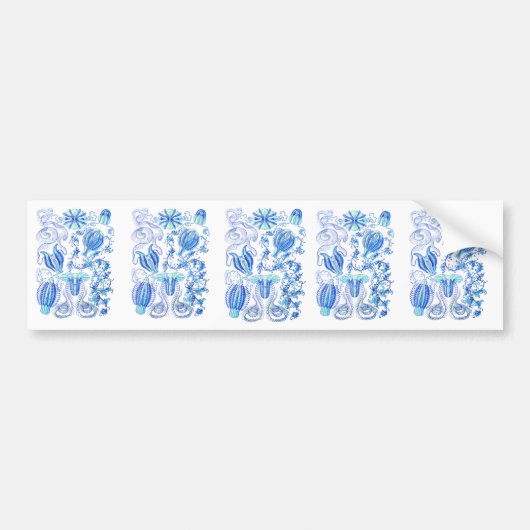 Comb Jellies Bumpersticker (Voorkant)