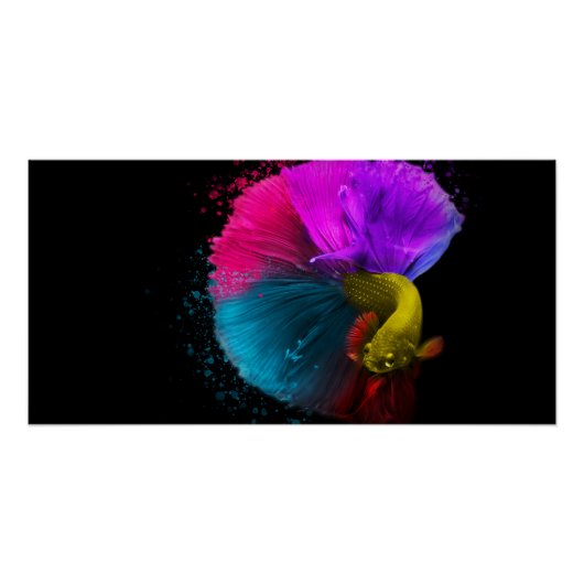 Combat Fish - Poster (Voorkant)