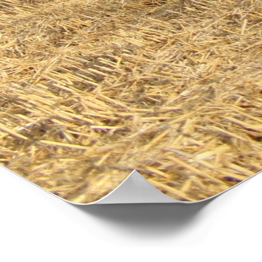 Combine Harvester Poster (Hoek)