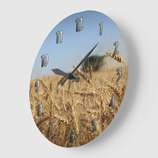 Combine in Wheat Field Grote Klok (Hoek)
