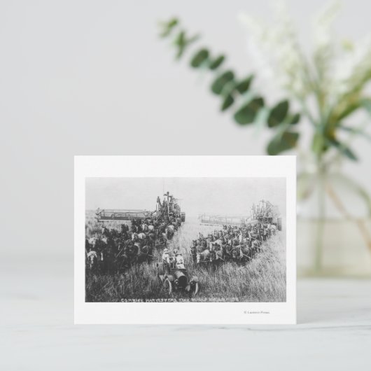 Combineer Harvester Scene Briefkaart (Staand voorkant)