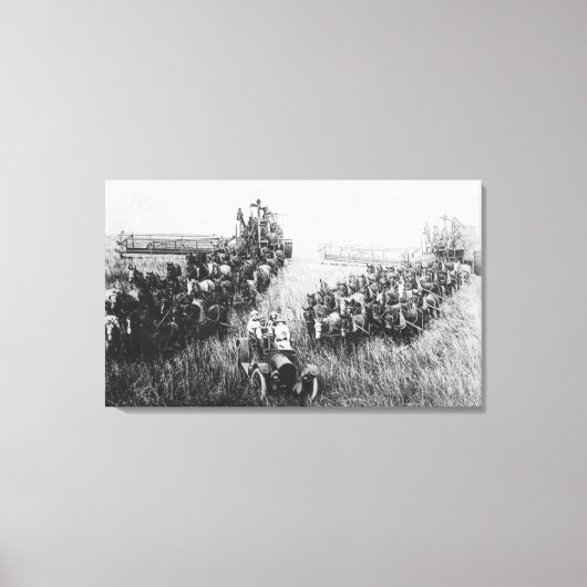 Combineer Harvester Scene Canvas Afdruk (Voorkant)