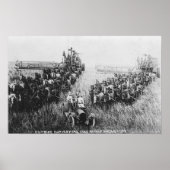 Combineer Harvester Scene Poster (Voorkant)